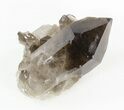 Natural Smoky Quartz Crystal - Brazil #42045-1